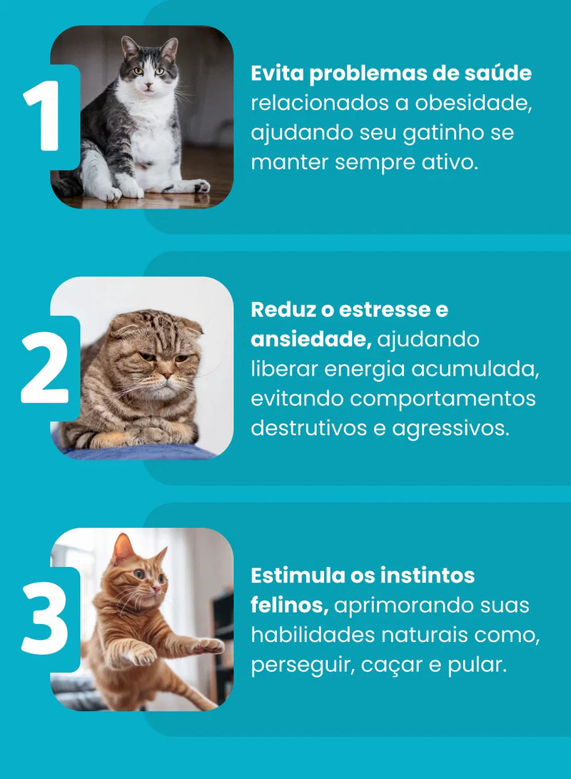 Bola Interativa Automática para Gatos - Pata Mansa