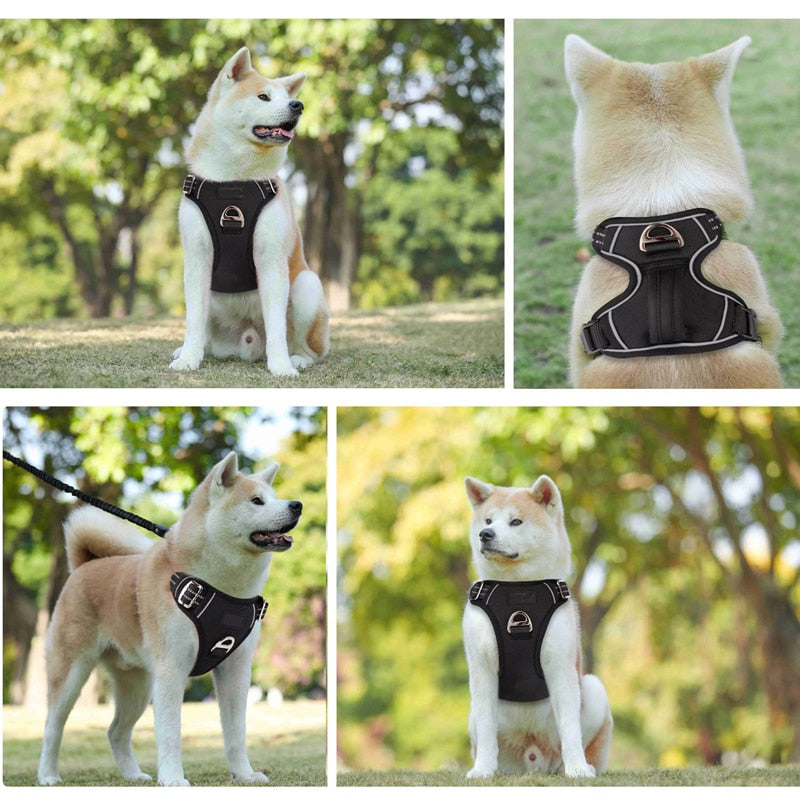 Coleira  para Cachorro Peitoral Reforçado Reflexivo