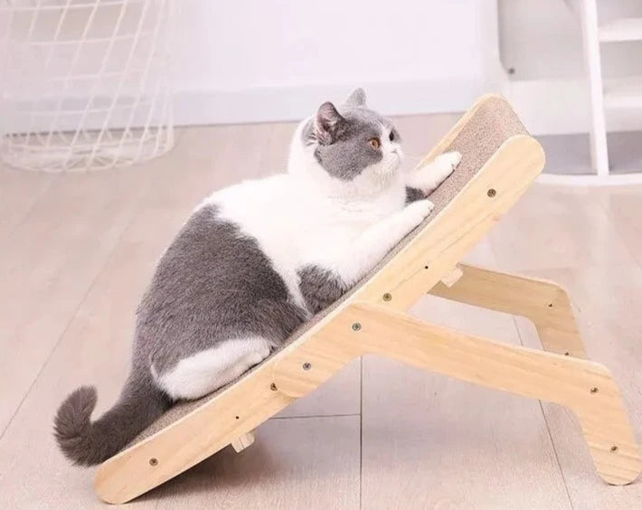 Arranhador para Gatos com Cama Lounge - 3 em 1